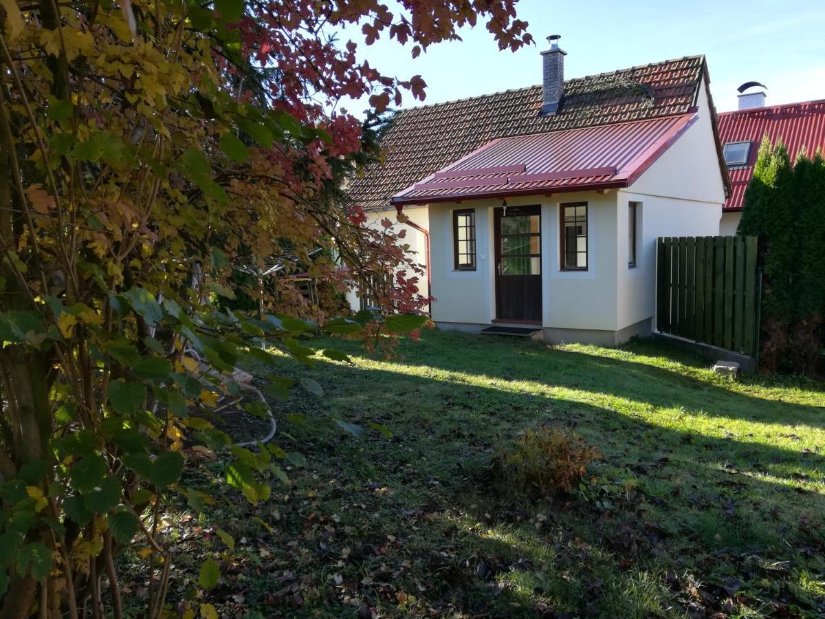 Chaloupka Nad Zelivkou Villa Hnevkovice Eksteriør bilde